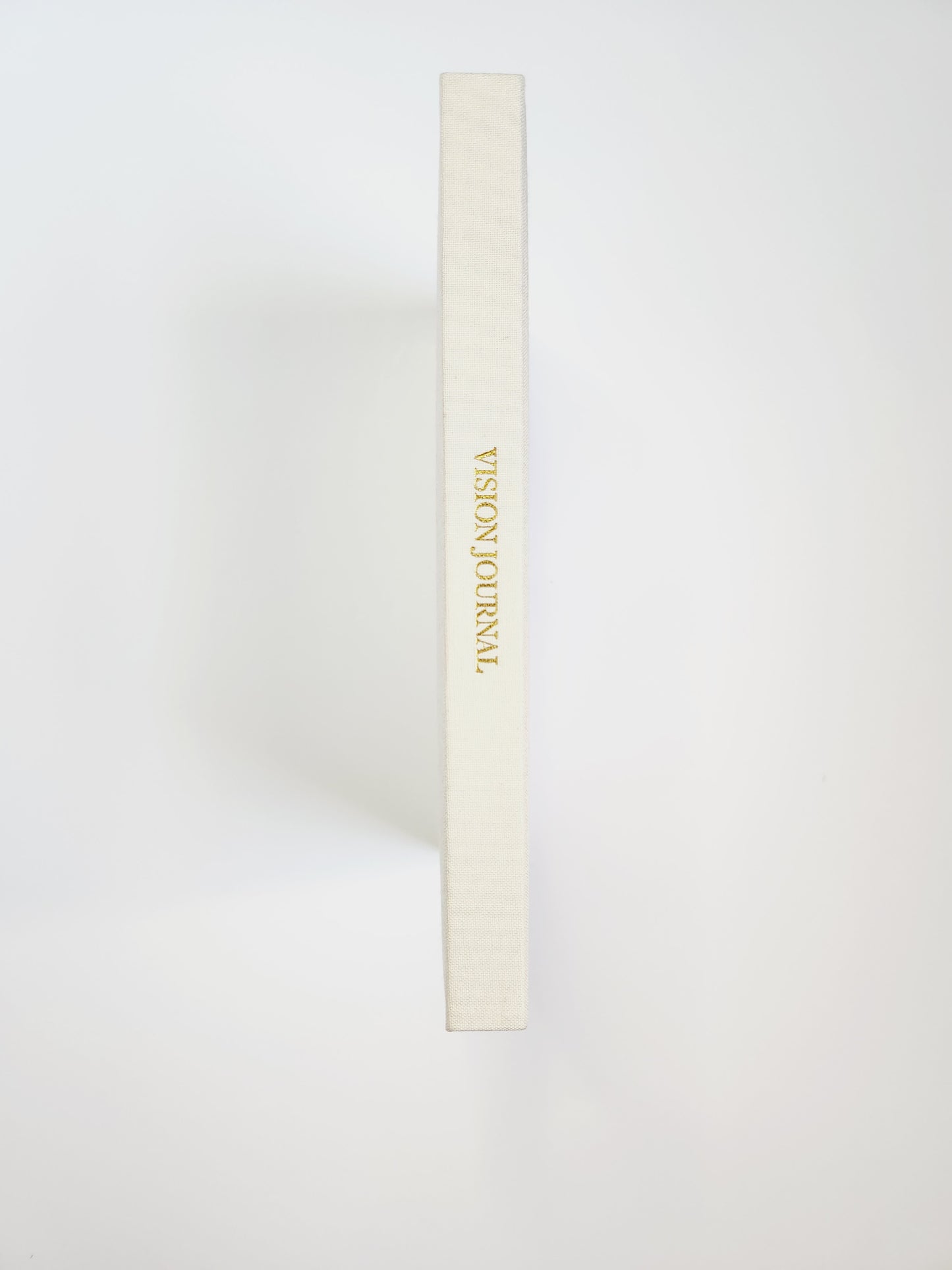 Write the Vision Journal