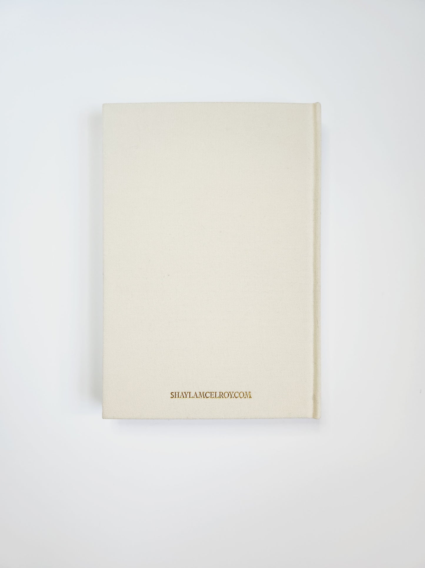 Write the Vision Journal